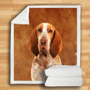 Bracco Italiano Blanket