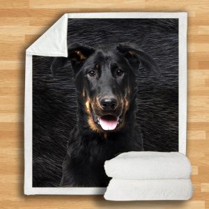 Beauceron Blanket